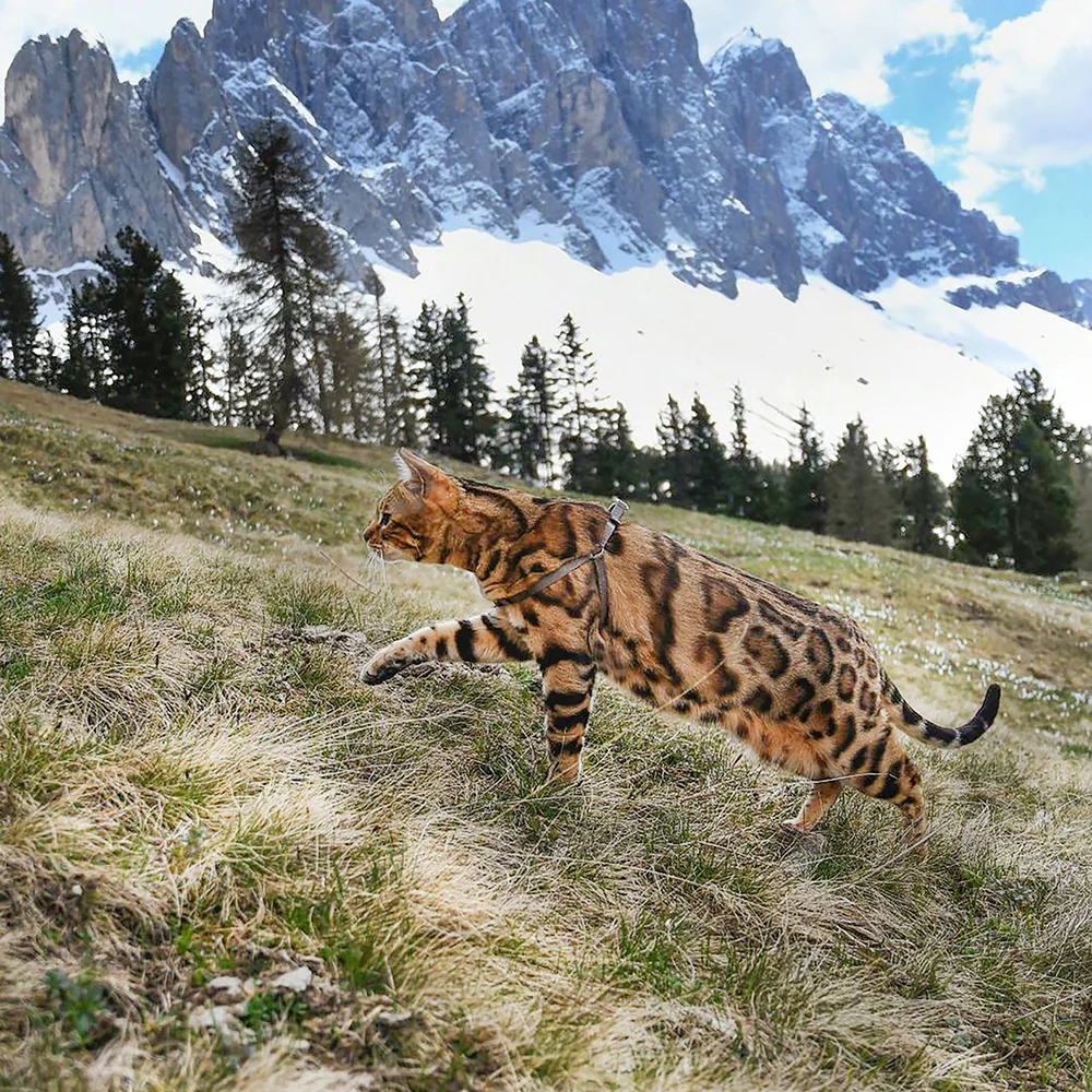 Immagine prodotto 22
