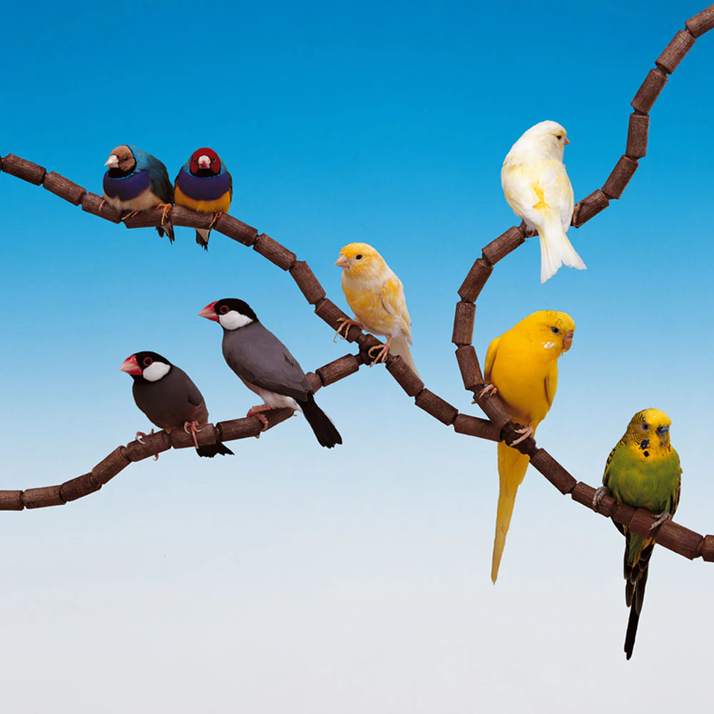Immagine prodotto 2