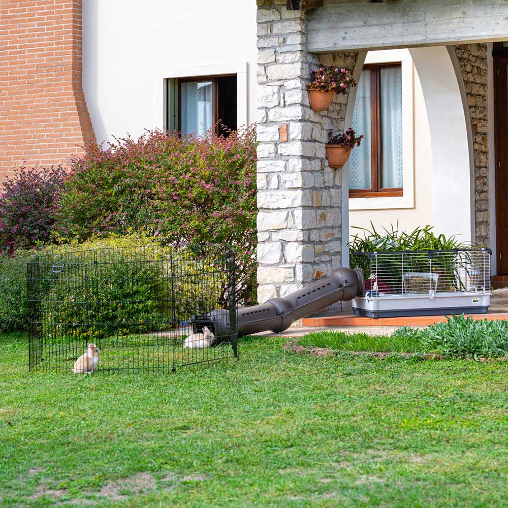 Immagine prodotto 3