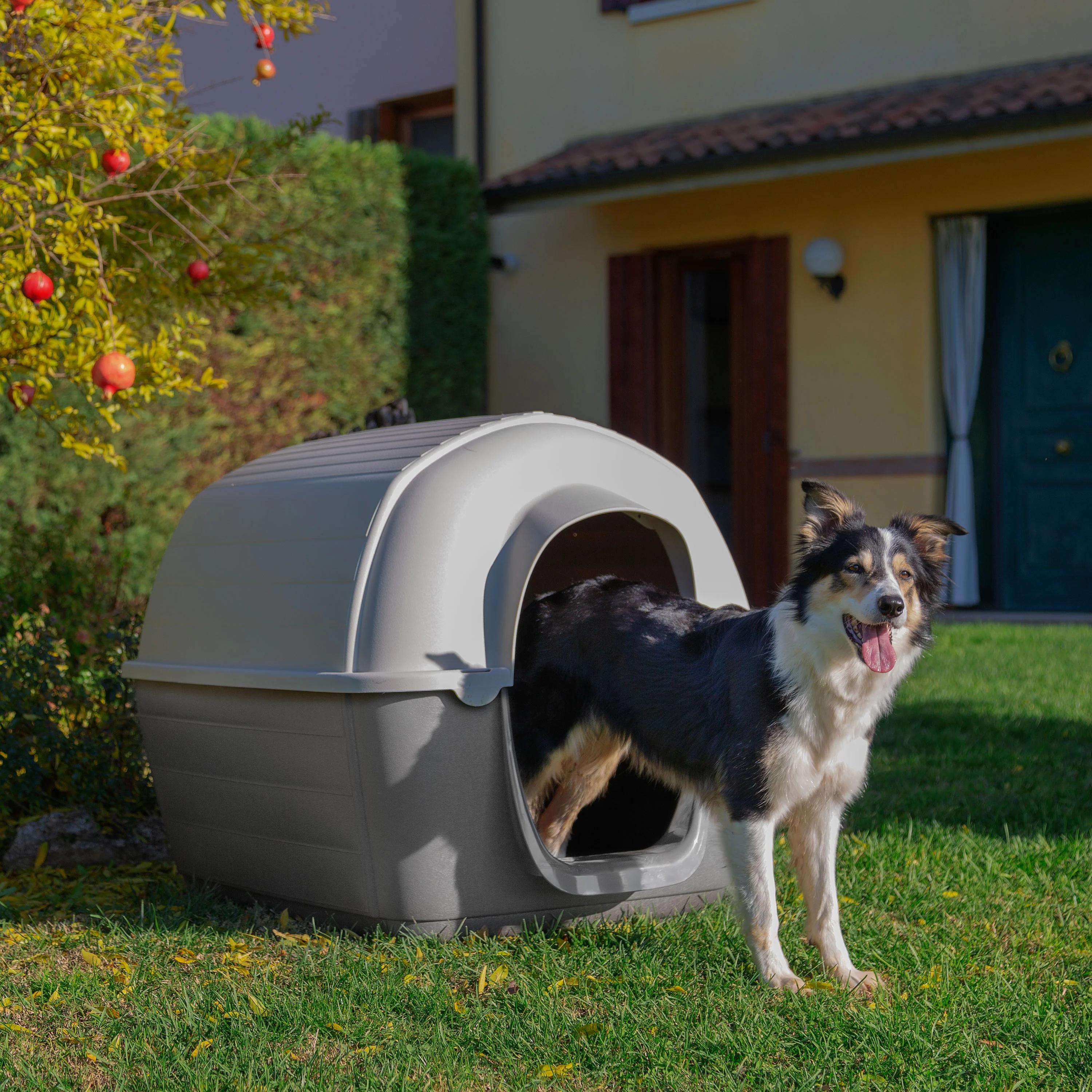 Immagine prodotto 33