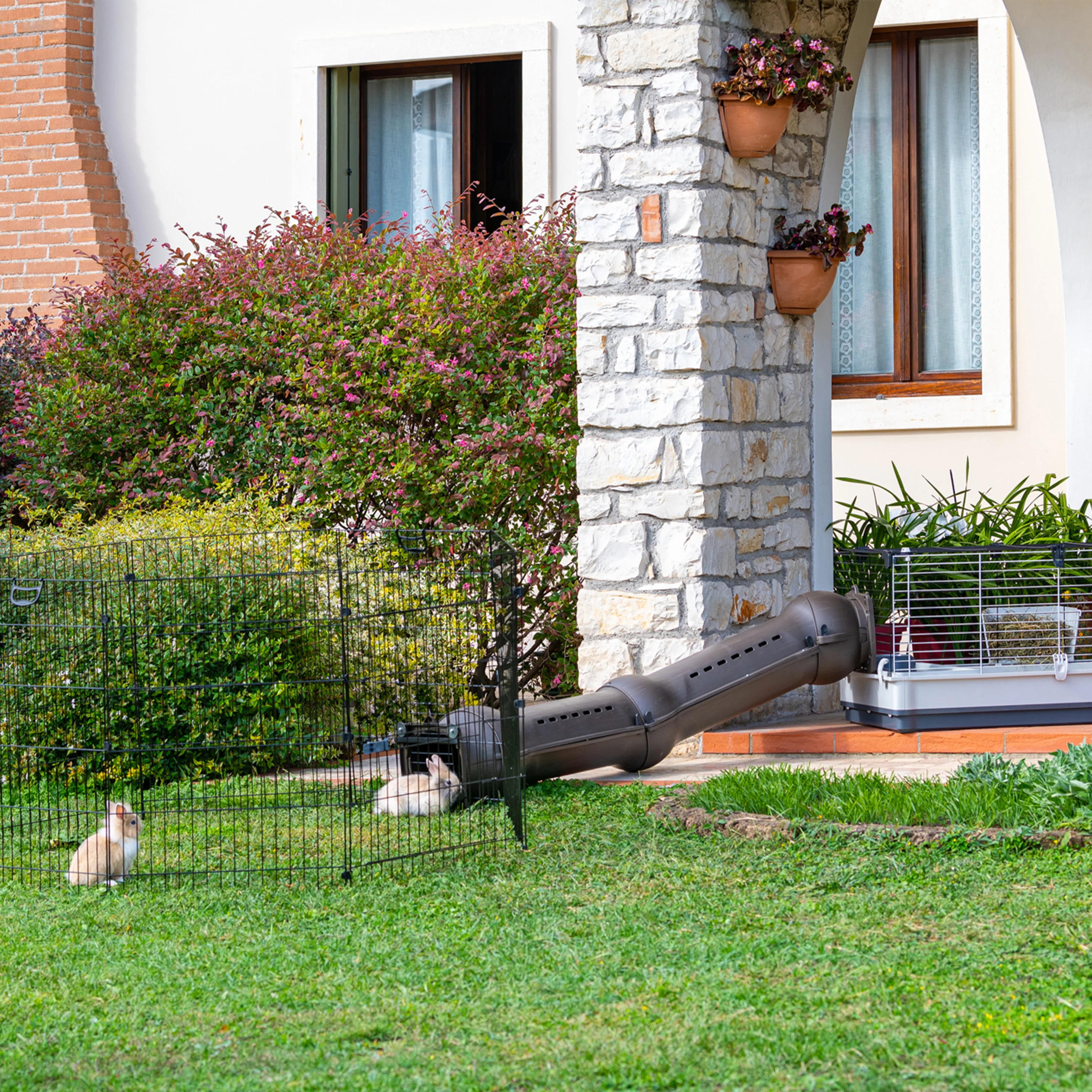 Immagine prodotto 4