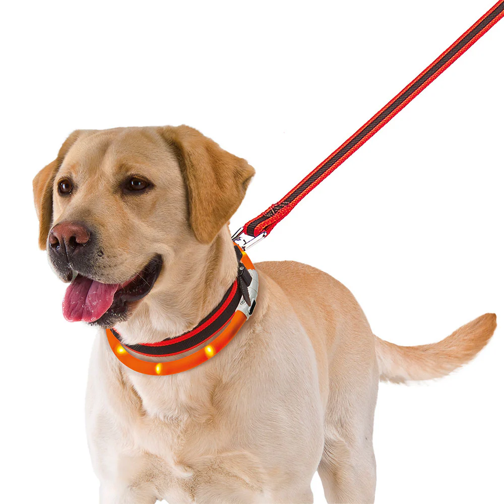Immagine prodotto 4