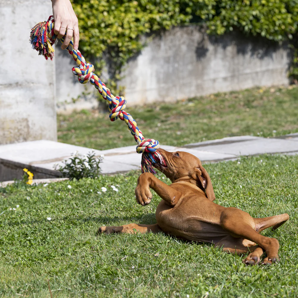 Immagine prodotto 2