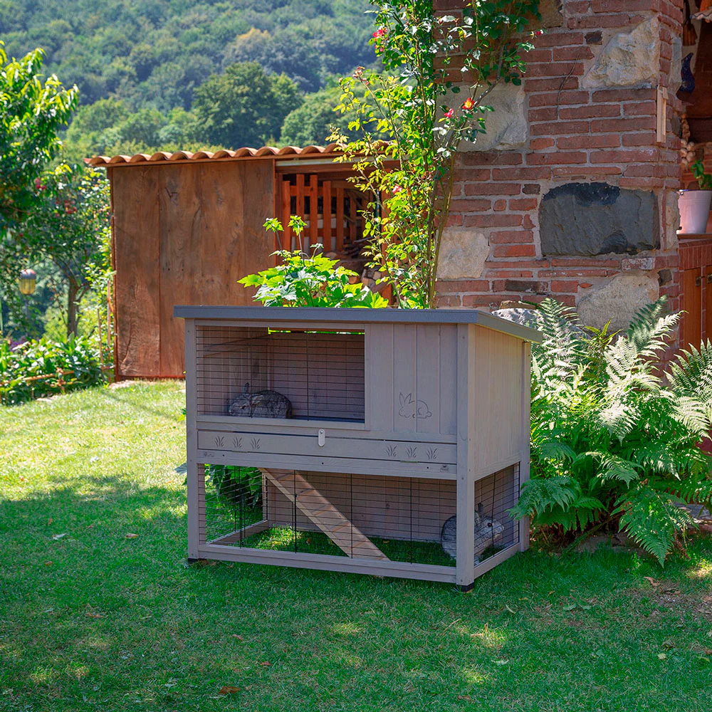 Immagine prodotto 4