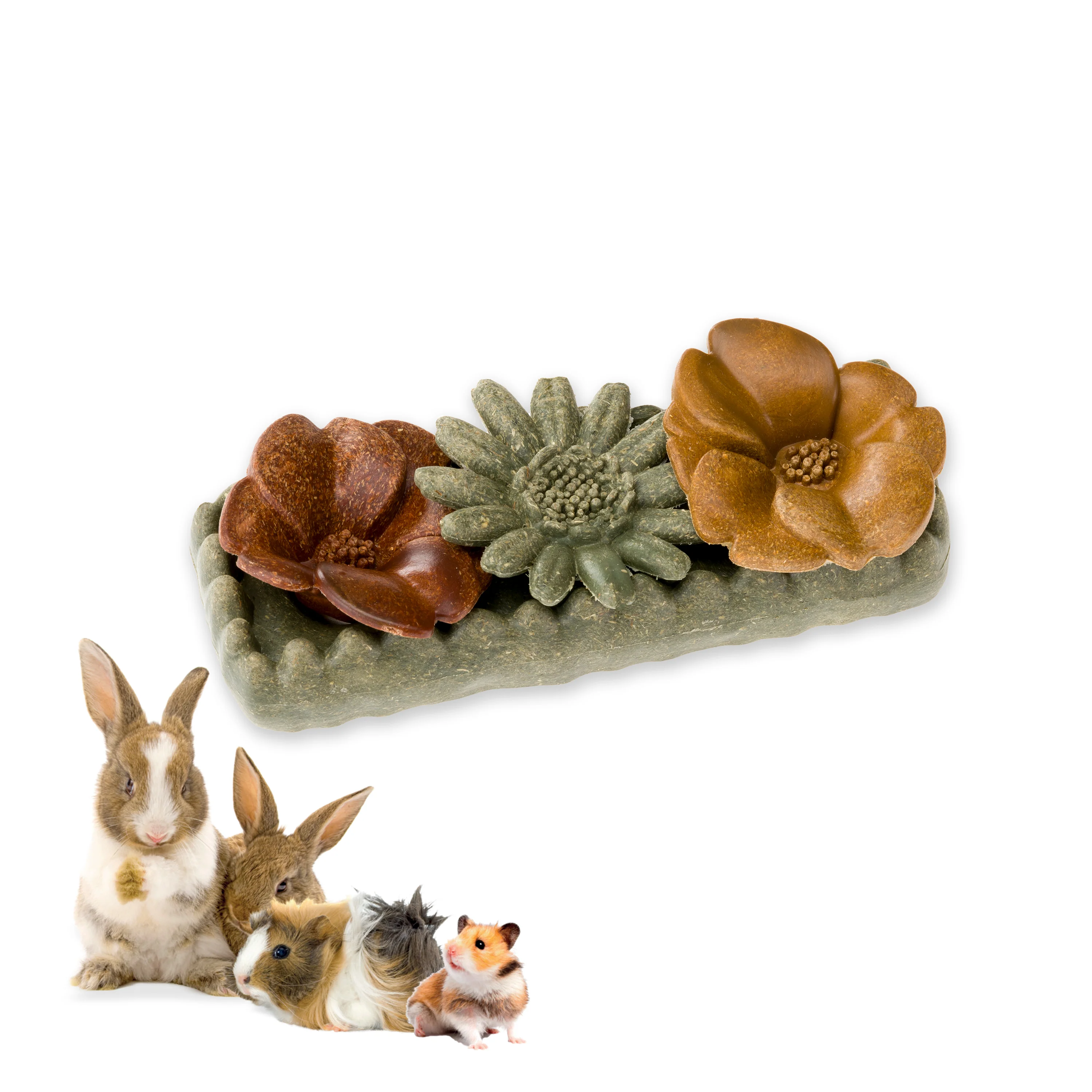 Miniatura 1